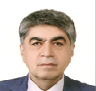 محمود محمودی