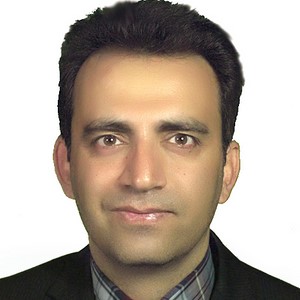 رضا ربیعی